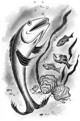 Fish memories