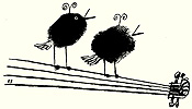 bird notes