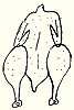 poulet