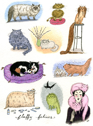 Fluffy Felines