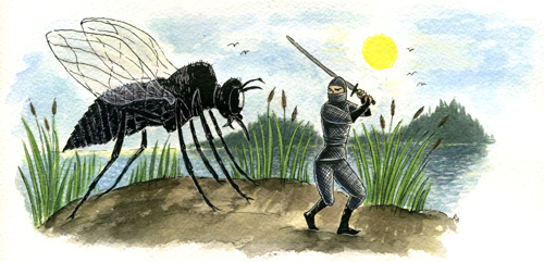 Blackfly Ninja 