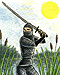 Blackfly Ninja by Roxanna Bikadoroff
