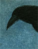 Film Crow by Roxanna Bikadoroff