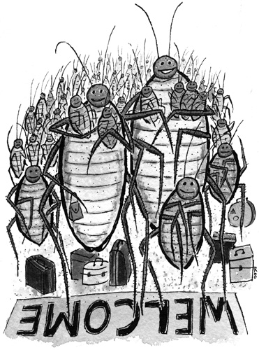 Meet the Roaches