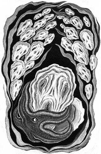 Oyster Scream 